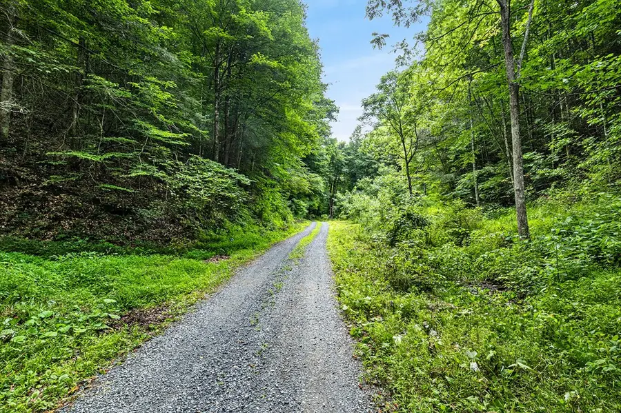 Lot 9 Lone Star Road, Bristol, VA 24202 - #3