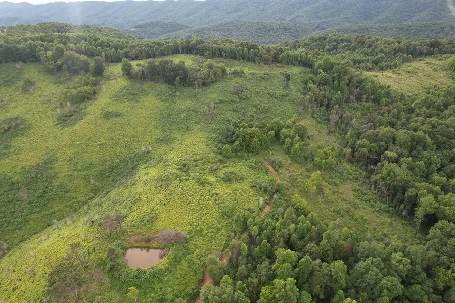 558 Glass Hollow Road, Blackwater, VA 24221 - Image #2