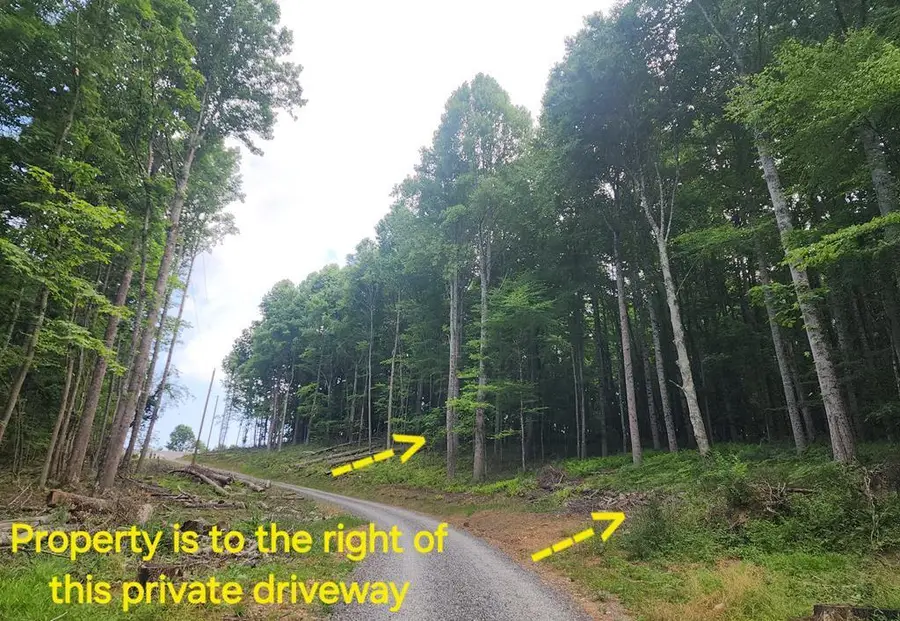 TBD Starmount Lane, Galax, VA 24333 - Image #2
