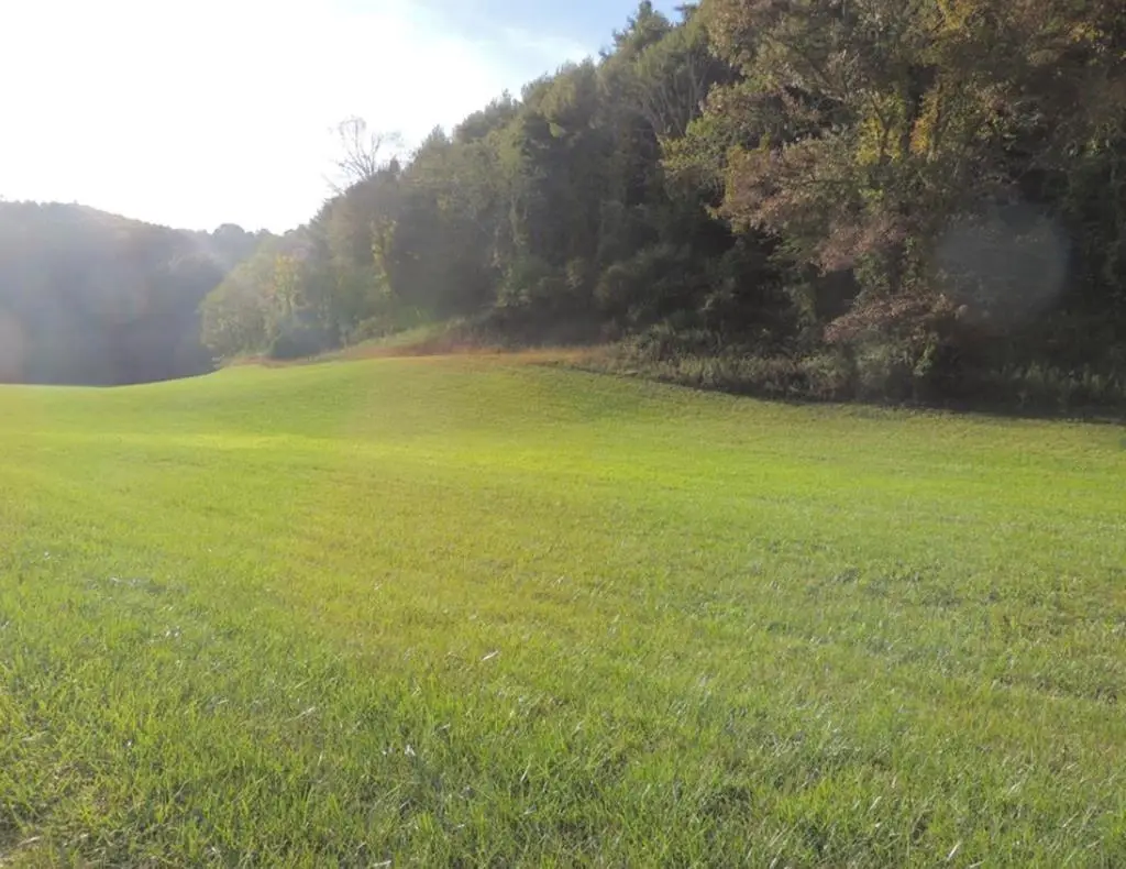 TBD Gambetta Rd., Galax, VA 24333 - Image #1