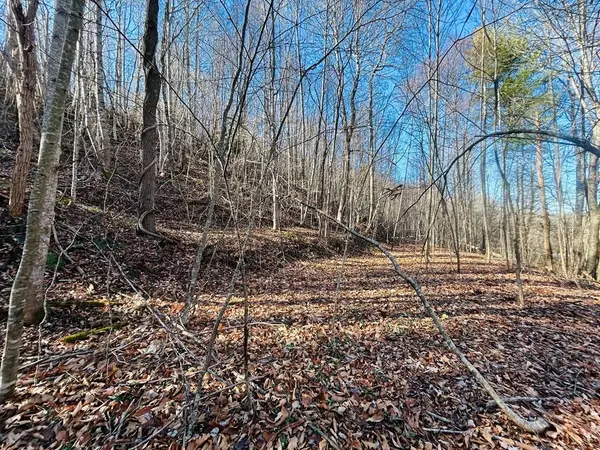 TBD Crestview Dr / N Main St, Hillsville, VA 24343