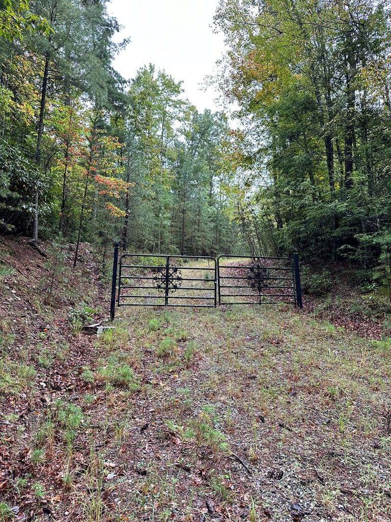 TBD Whipporwill Road, Wytheville, VA 24382 - Image #1