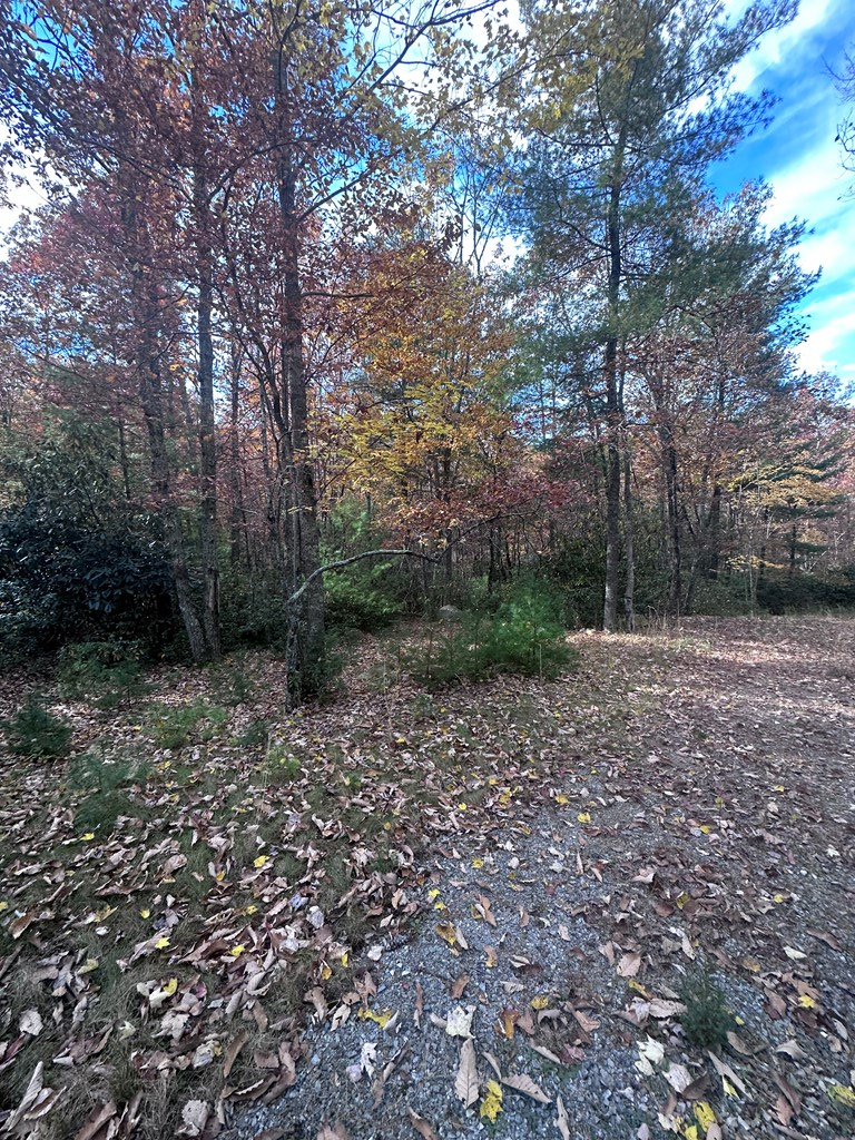 TBD Whipporwill Road, Wytheville, VA 24382 - Image #2