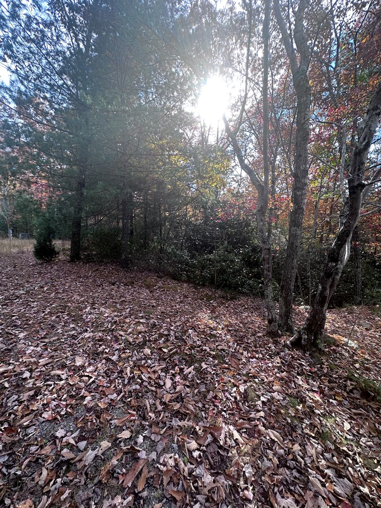 TBD Whipporwill Road, Wytheville, VA 24382 - Image #3