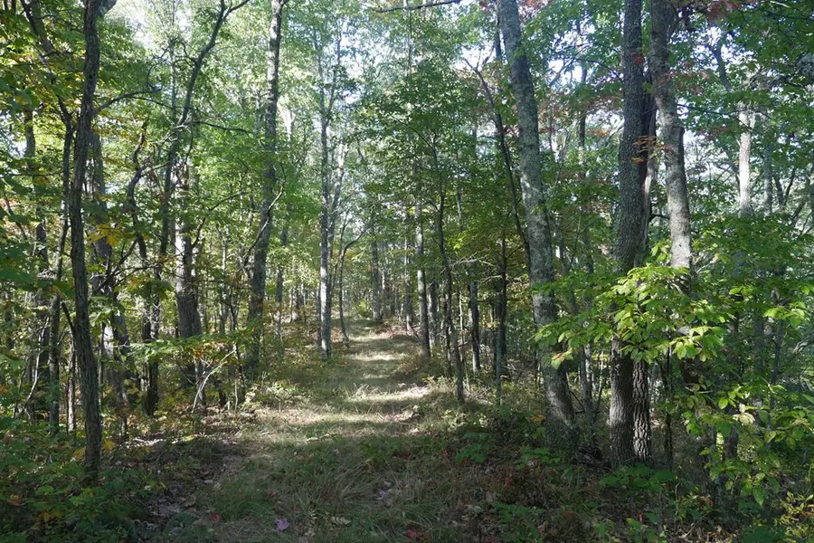 TBD Buckhorn Mountain Lane, Bastian, VA 24314 - Image #2