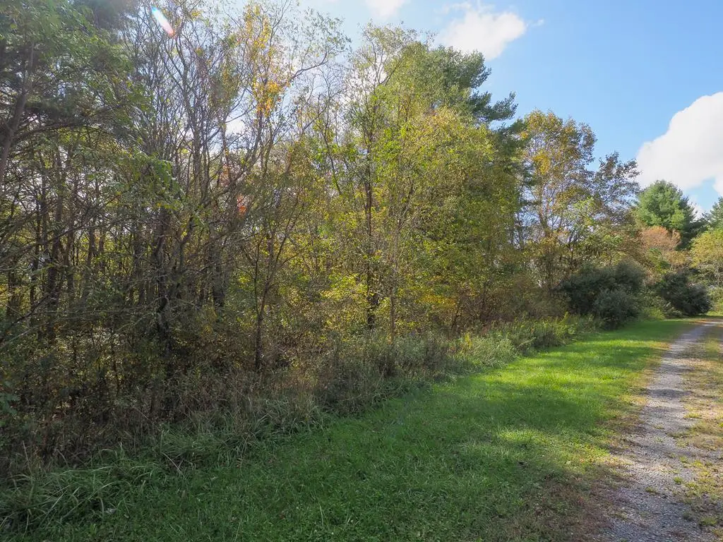 TBD Blue Lake Ln (Lot #40), Laurel Fork, VA 24352 - Image #1