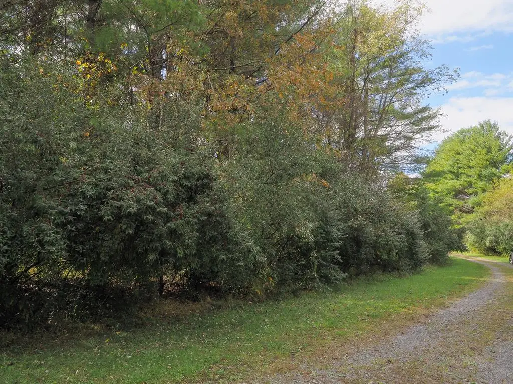 TBD Blue Lake Ln (Lot #36), Laurel Fork, VA 24352 - Image #1