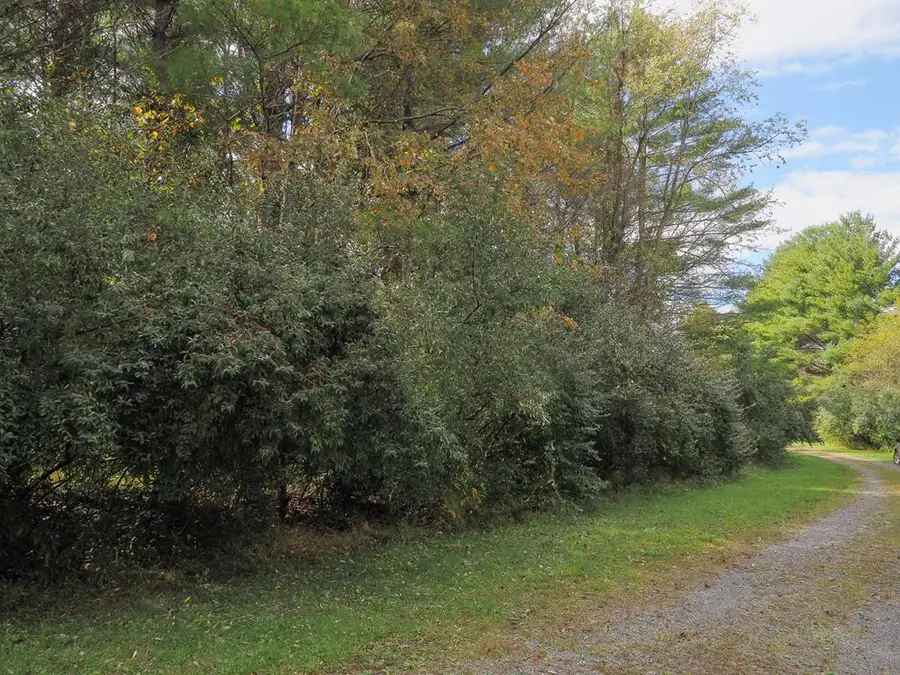 TBD Blue Lake Ln (Lot #36), Laurel Fork, VA 24352 - Image #2