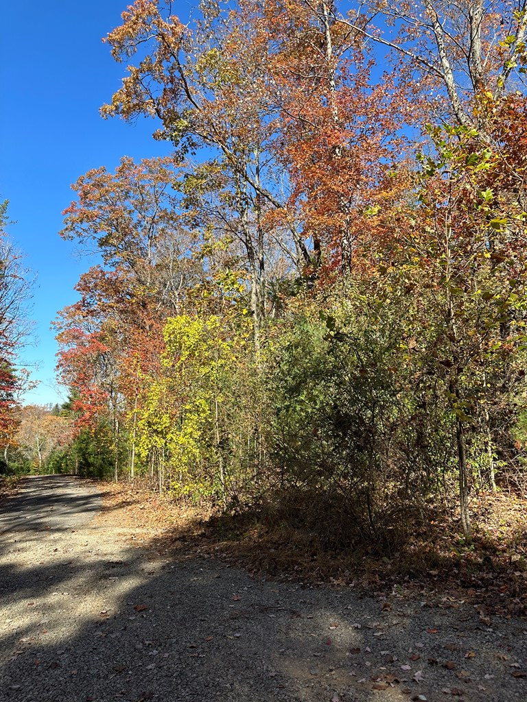 555 Evergreen Trail, Fancy Gap, VA 24328 - Image #2