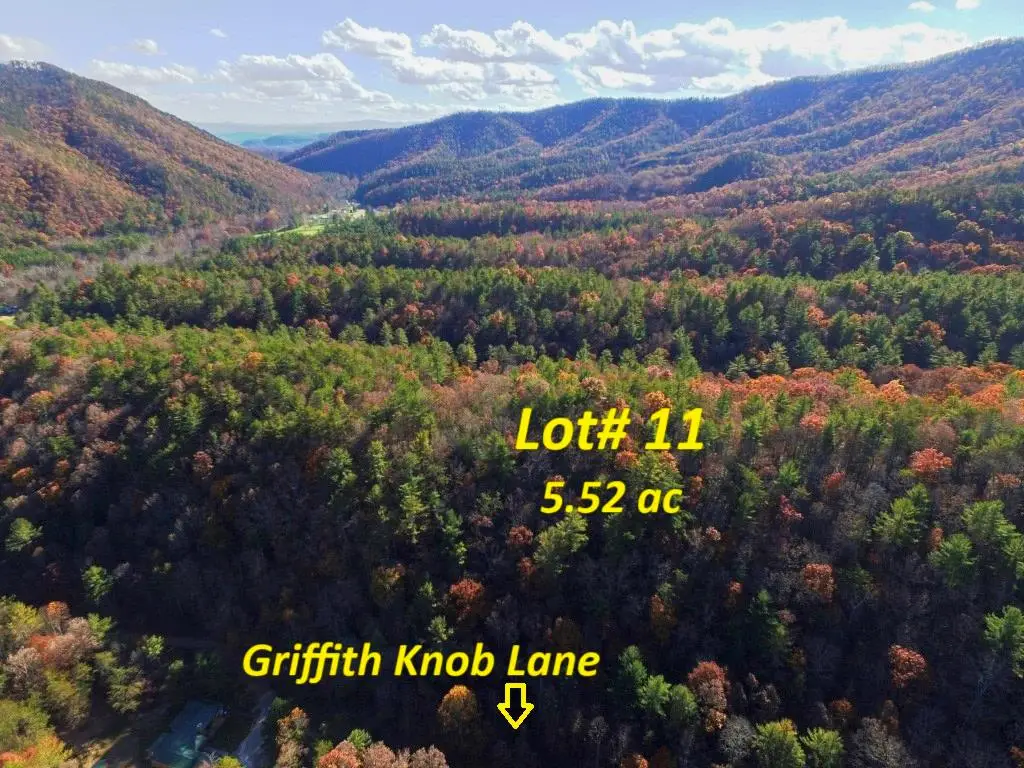 Lot 11 Griffith Knob Lane, Wytheville, VA 24382 - Image #1