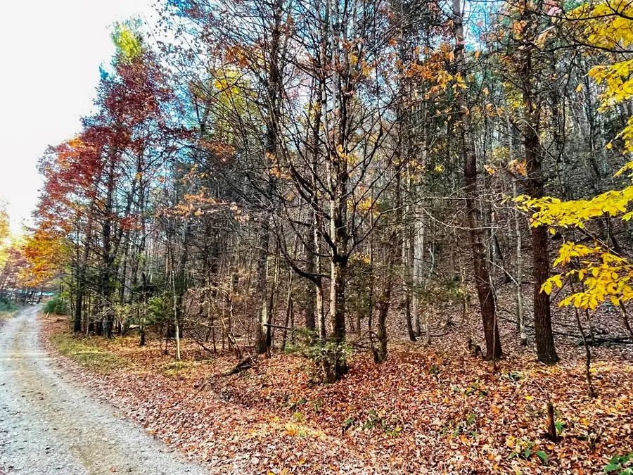 Lot 11 Griffith Knob Lane, Wytheville, VA 24382 - Image #2