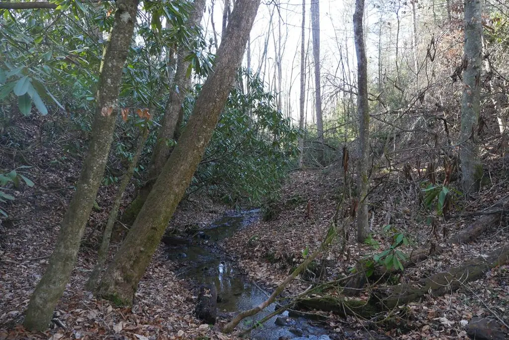 TBD State Route 606, Pennington Gap, VA 24265 - Image #1