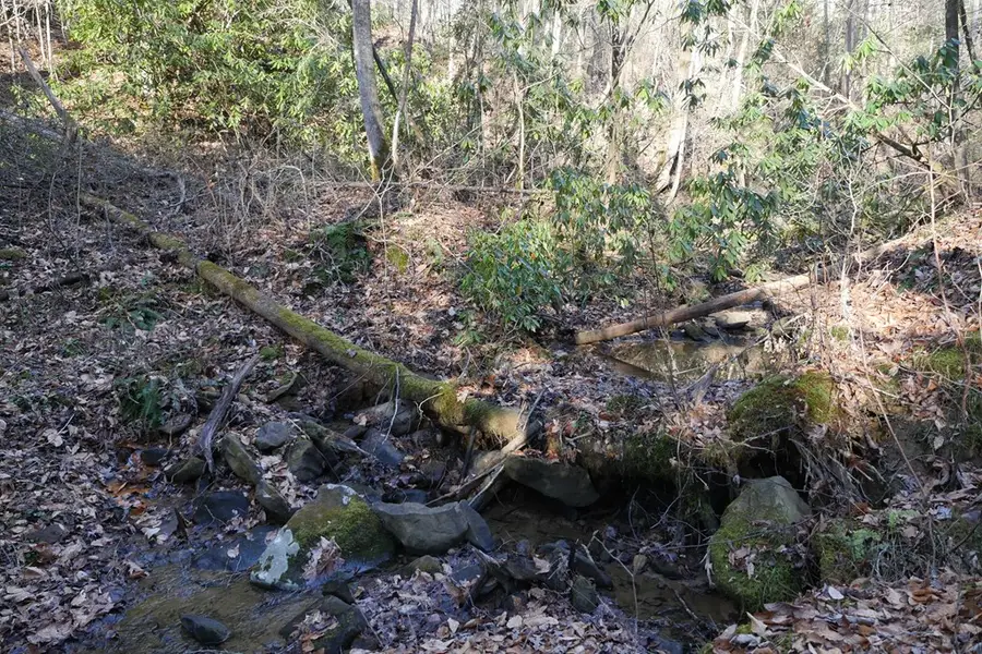 TBD State Route 606, Pennington Gap, VA 24265 - Image #2