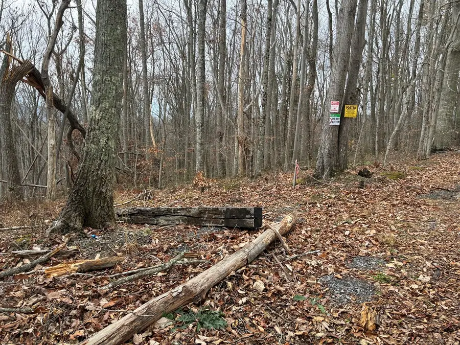 TBD FILL STREET, Pounding Mill, VA 24637 - Image #2