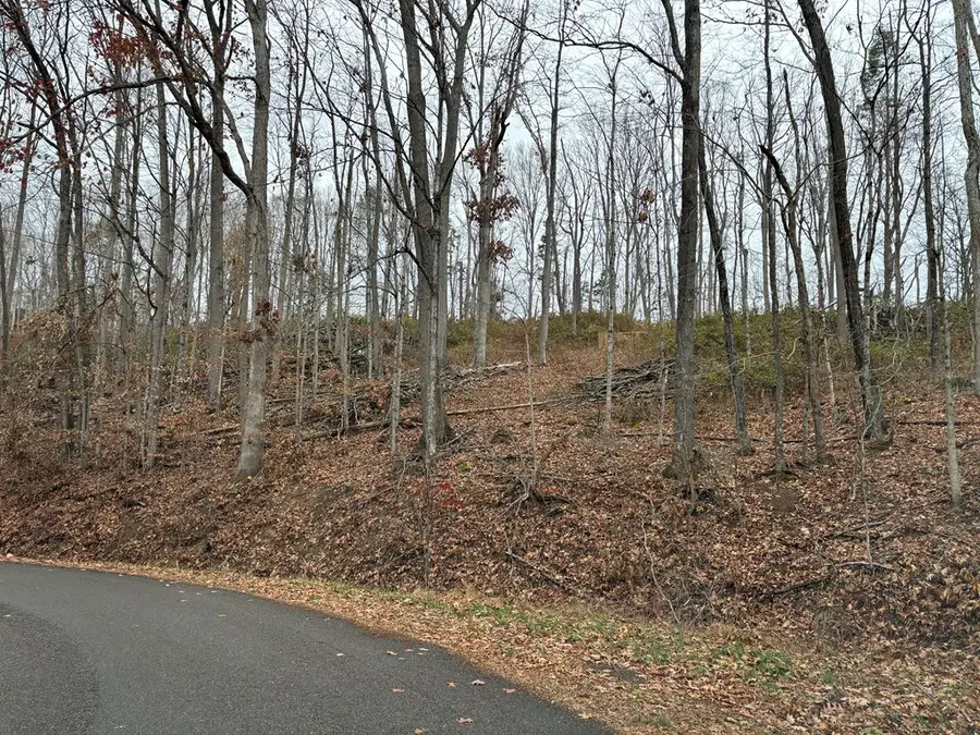 TBD FILL STREET, Pounding Mill, VA 24637 - Image #3