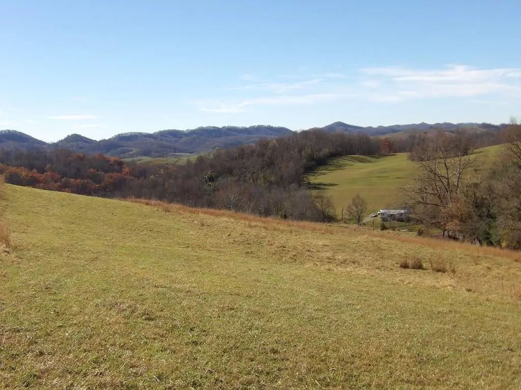 107 Edgewood/Crusenberry rd, Saltville, VA 24370 - Image #1