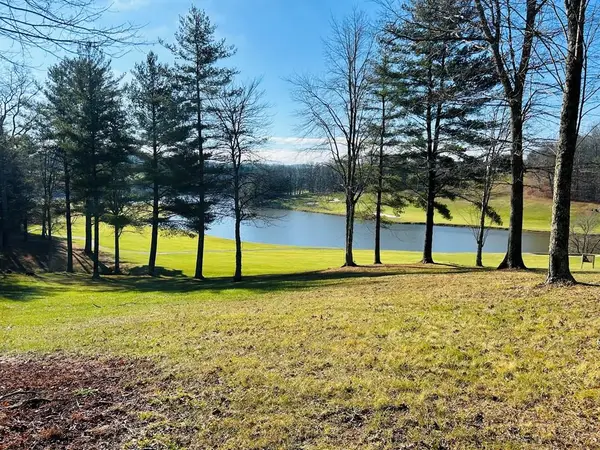 TBD Manor House Dr, Laurel Fork, VA 24352