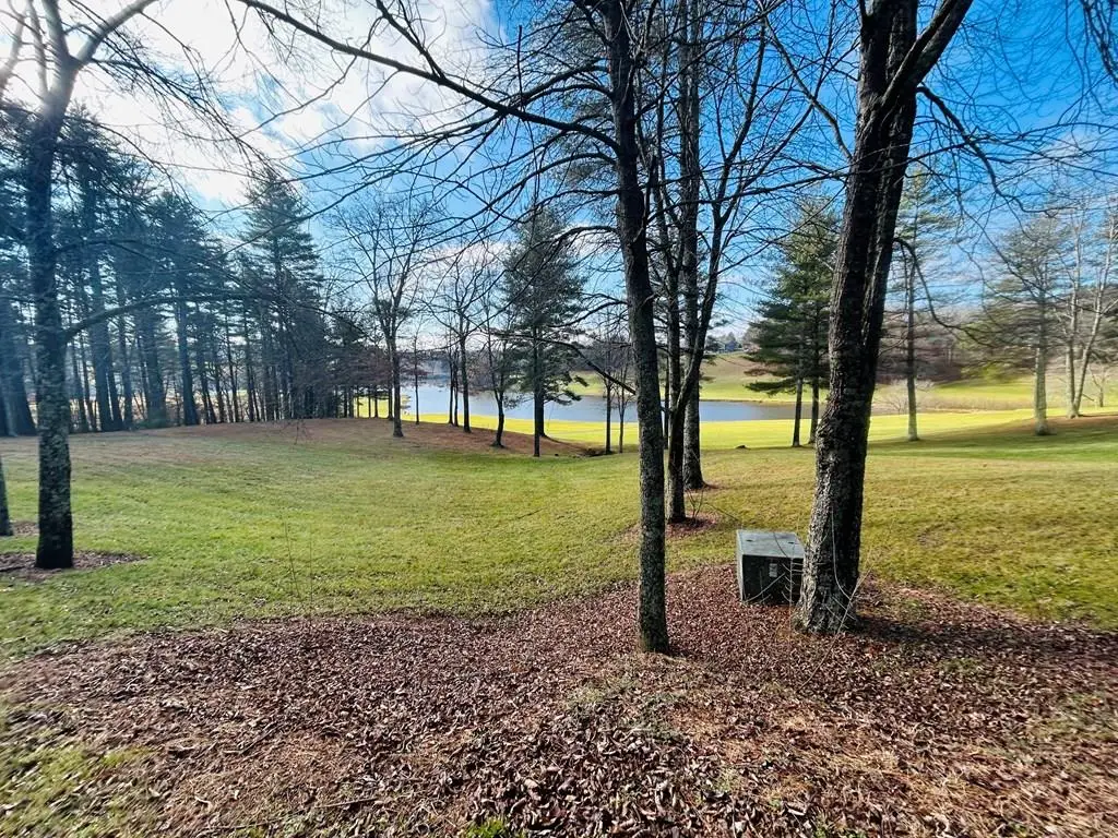 TBD Lot 20 Manor House Dr, Laurel Fork, VA 24352 - #1