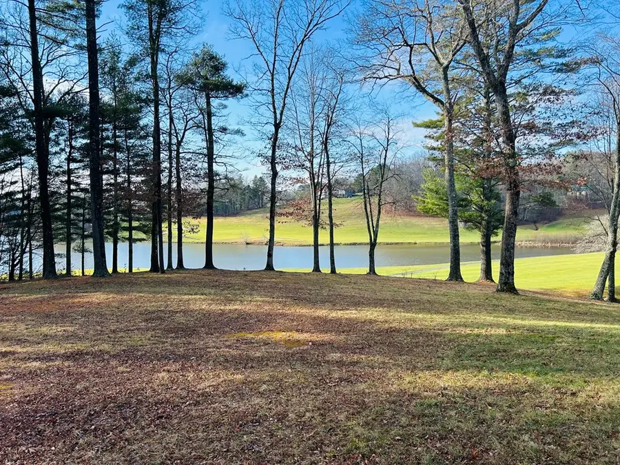 TBD Lot 20 Manor House Dr, Laurel Fork, VA 24352 - #3