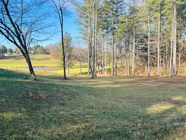 TBD Manor House Dr, Laurel Fork, VA 24352