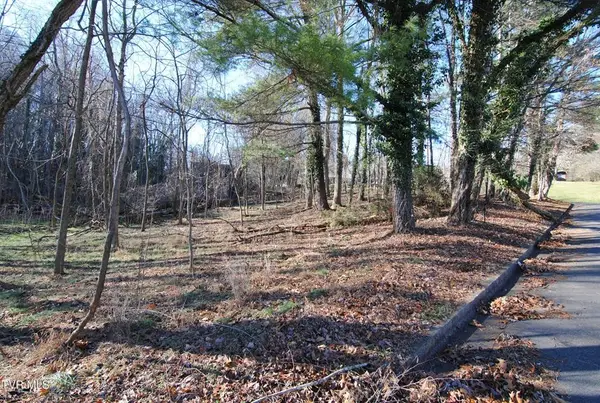 TBD Oak Hill Estates, Abingdon, VA 24210