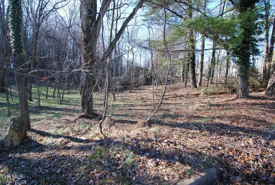 TBD Oak Hill Estates, Abingdon, VA 24210 - Image #2