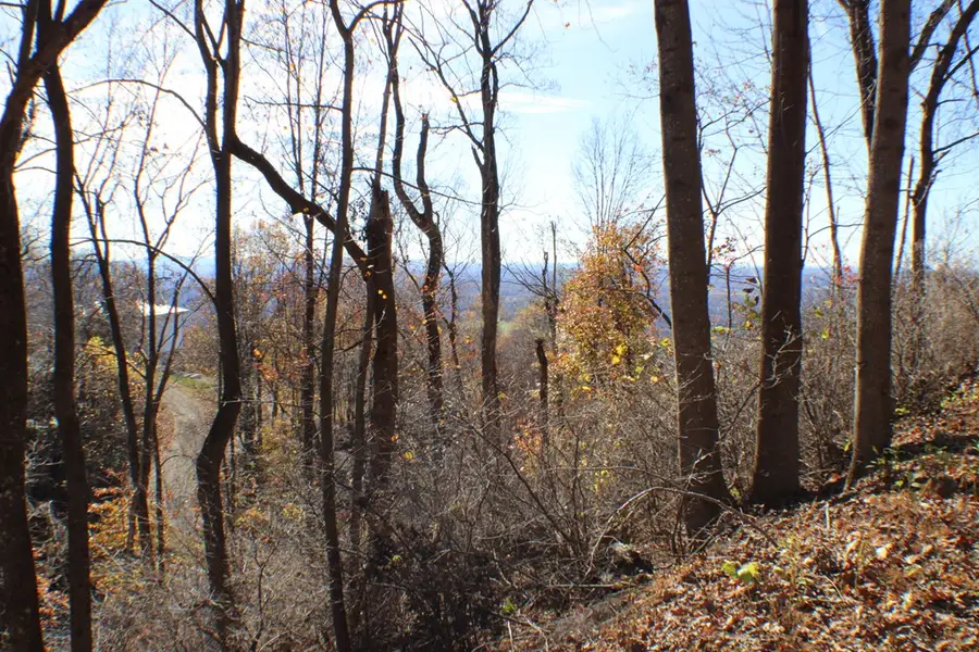 1 Gulch Rd, Meadows Of Dan, VA 24120 - Image #2