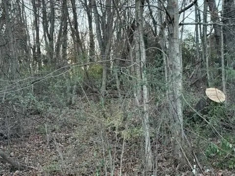 TBD Briscoe Drive, Bristol, VA 24202 - Image #3