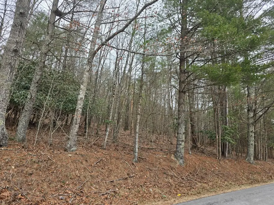 TBD Taylors Chapel Rd, Fries, VA 24330 - Image #3