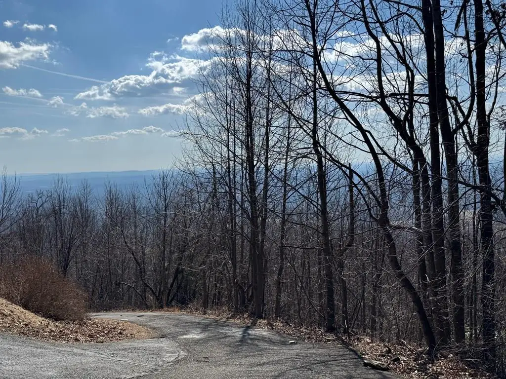 TBD Morning Side Trail, Fancy Gap, VA 24328 - Image #1