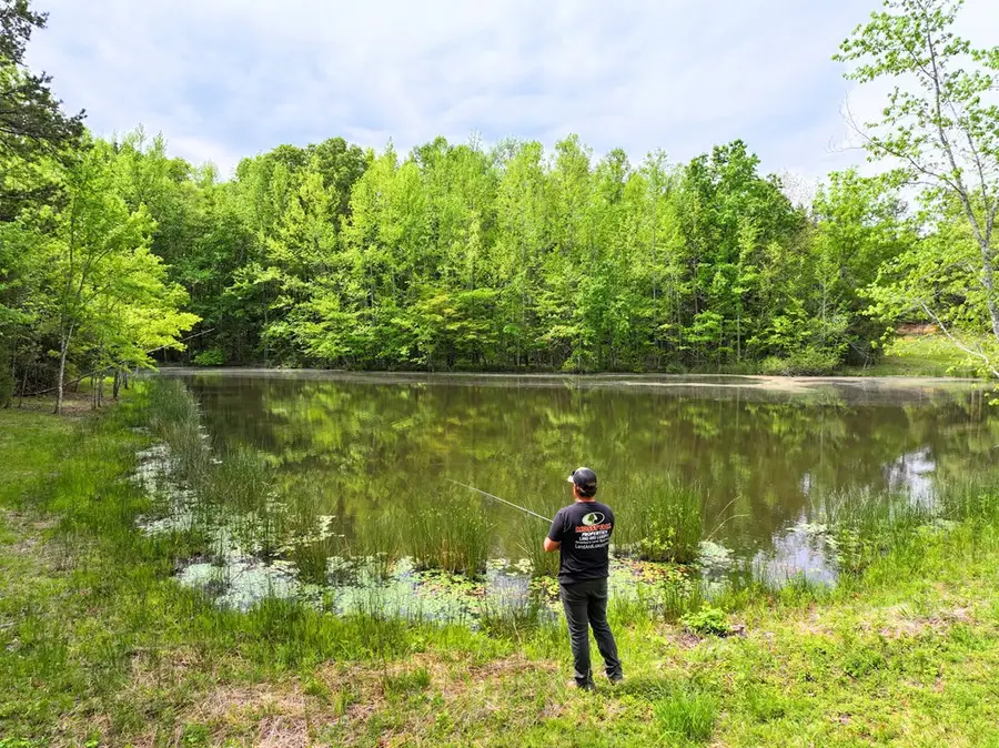 10217 Bill Tuck Hwy, Virgilina, VA 24598 - Image #2