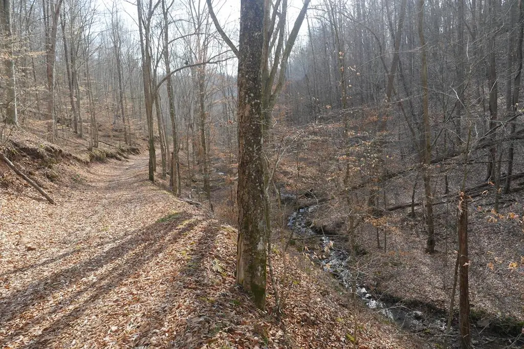 00 Homer Lane, Hiltons, VA 24258 - Image #1