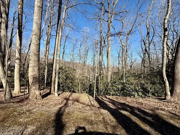 TBD Crooked White Oak Trail, Hillsville, VA 24343