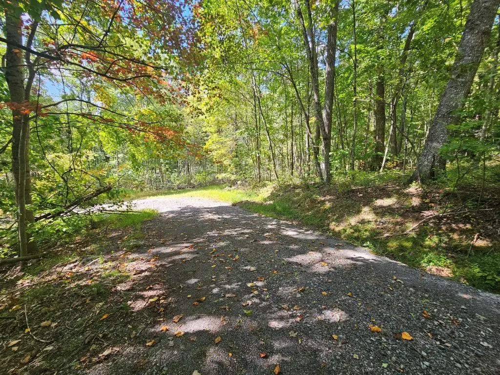 Lot 7 Wildflower Way, Eastern, VA 24630 - Image #1