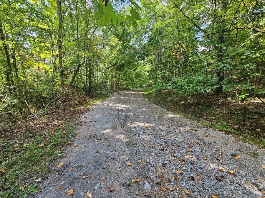 Lot 7 Wildflower Way, Eastern, VA 24630 - Image #3