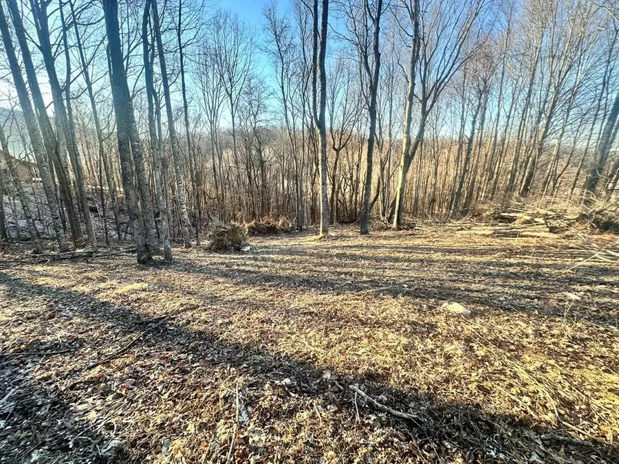 TBD Hidden Valley Ln, Independence, VA 24348 - Image #2