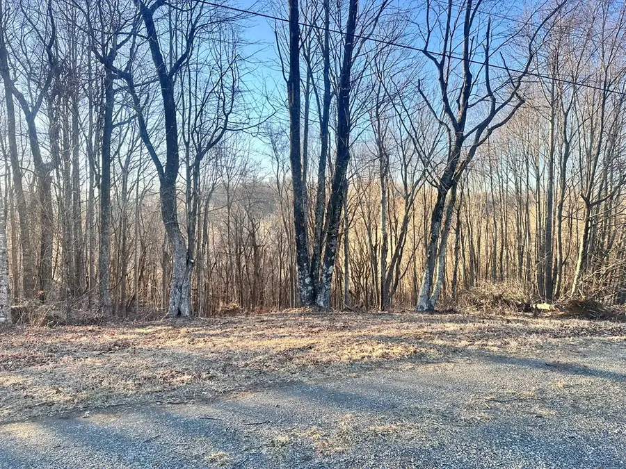 TBD Hidden Valley Ln, Independence, VA 24348 - Image #3