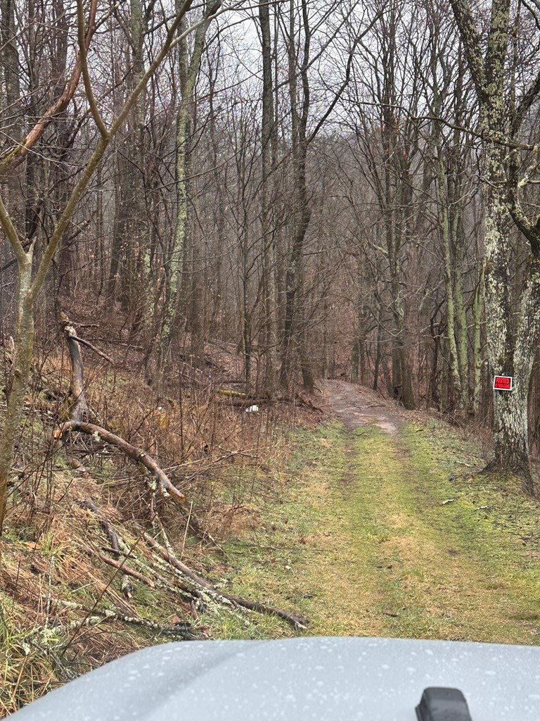 16037 Knights Bridge Rd, Abingdon, VA 24210 - Image #3