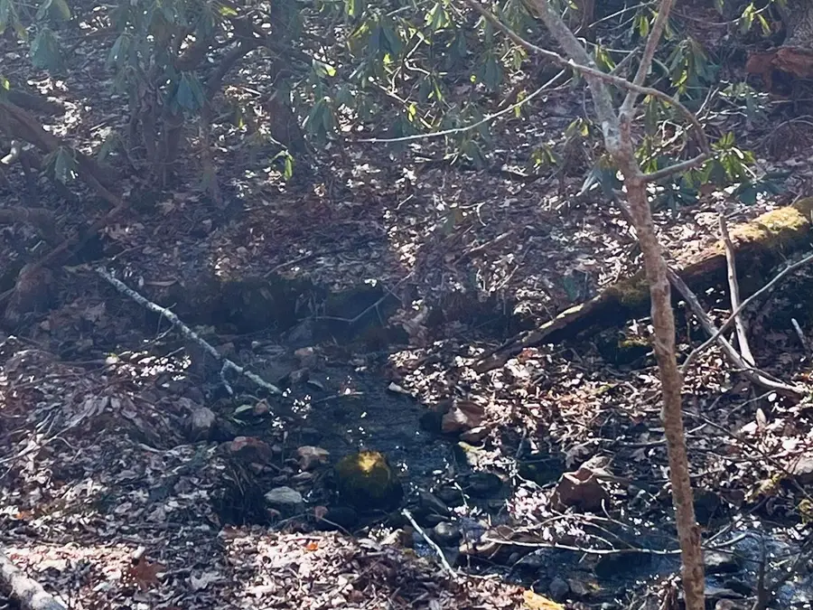 Tbd Brookside Tr, Fancy Gap, VA 24328 - Image #3