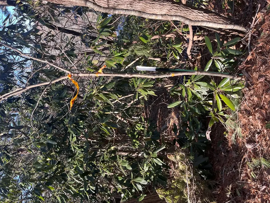 Tbd Rock Ledge Tr, Fancy Gap, VA 24328 - #2