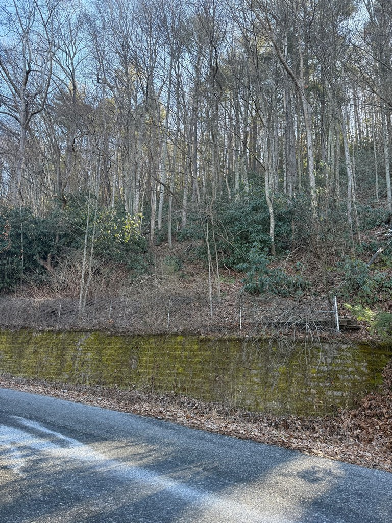 lot tbd, Damascus, VA 24236 - Image #3