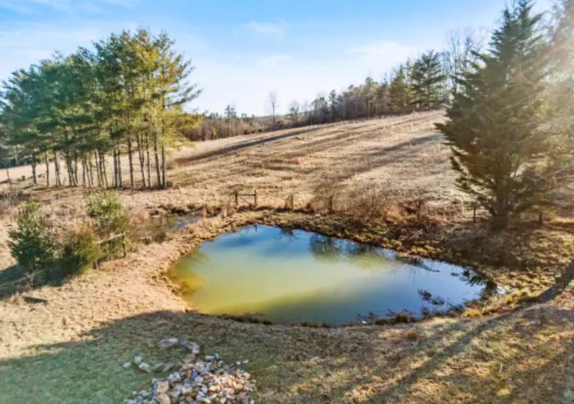 1101 Scratch Gravel Road, Ivanhoe, VA 24350 - Image #3