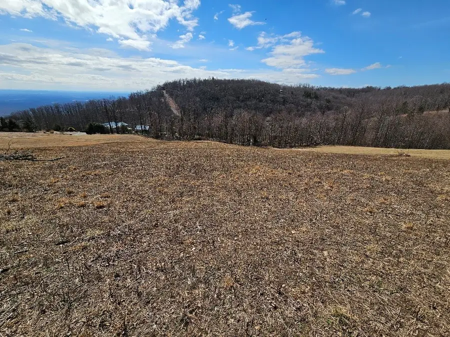 Lot#2 Cabin Ridge Trail, Fancy Gap, VA 24328 - Image #2