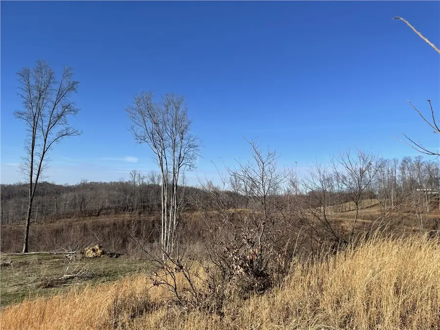 370 Jackie Dye Rd, Swords Creek, VA 24649 - Image #2