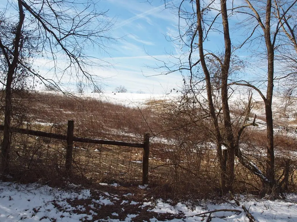 0 Colecrest Drive, Chilhowie, VA 24319 - #1