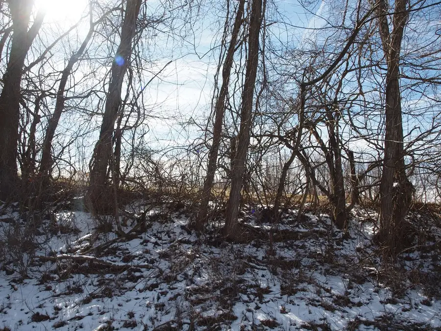 0 Colecrest Drive, Chilhowie, VA 24319 - #3