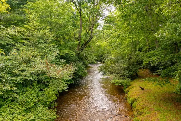 TBD Grandview Drive, Sparta, NC 28675