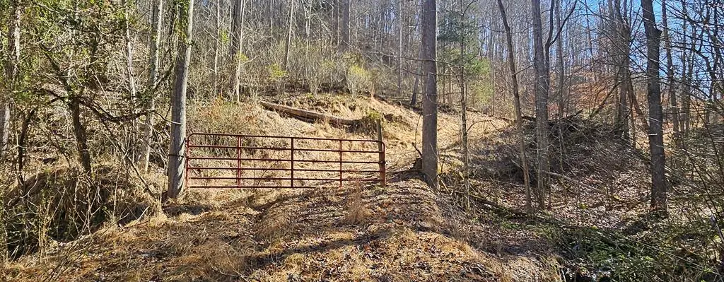 TBD Garrett Creek Rd, Abingdon, VA 24210 - Image #1