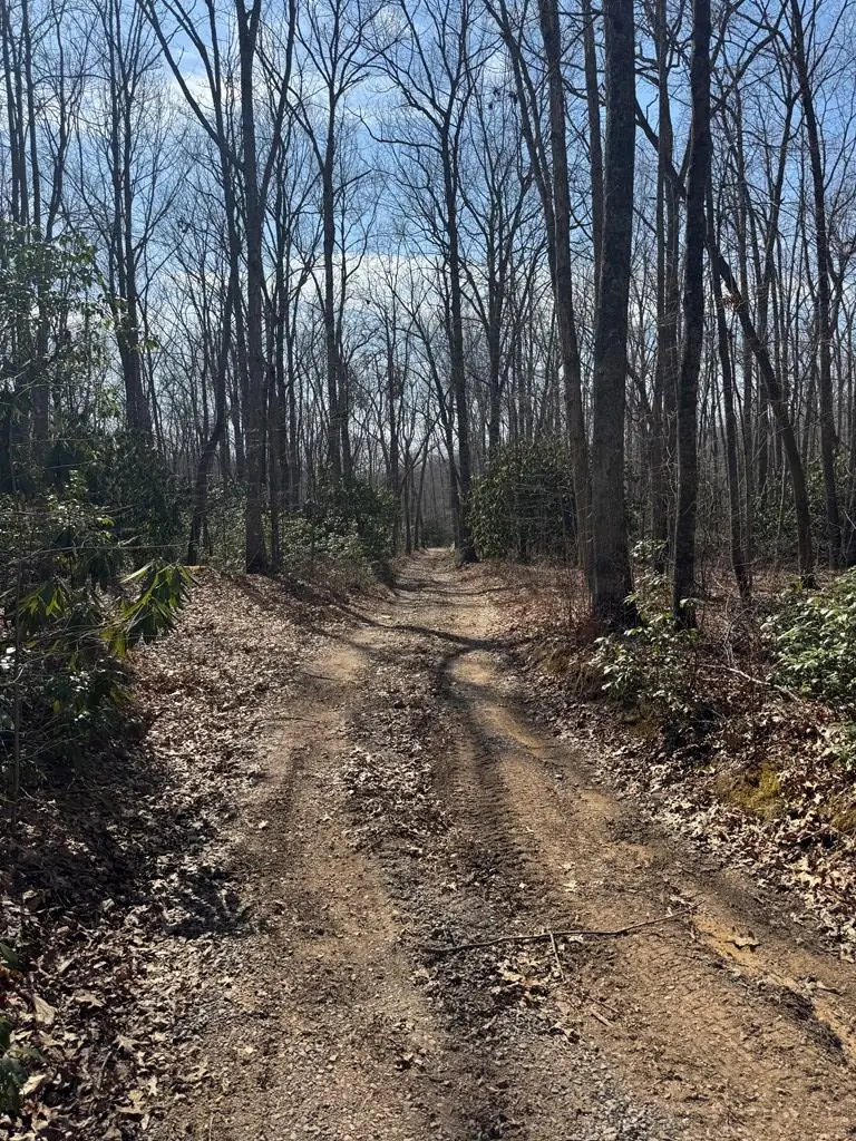 TBD Brookstone Road, Bastian, VA 24314 - Image #2