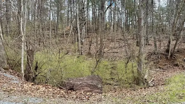 TBD Cherry Blossom Lane, Wytheville, VA 24382